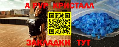 гидра Тара